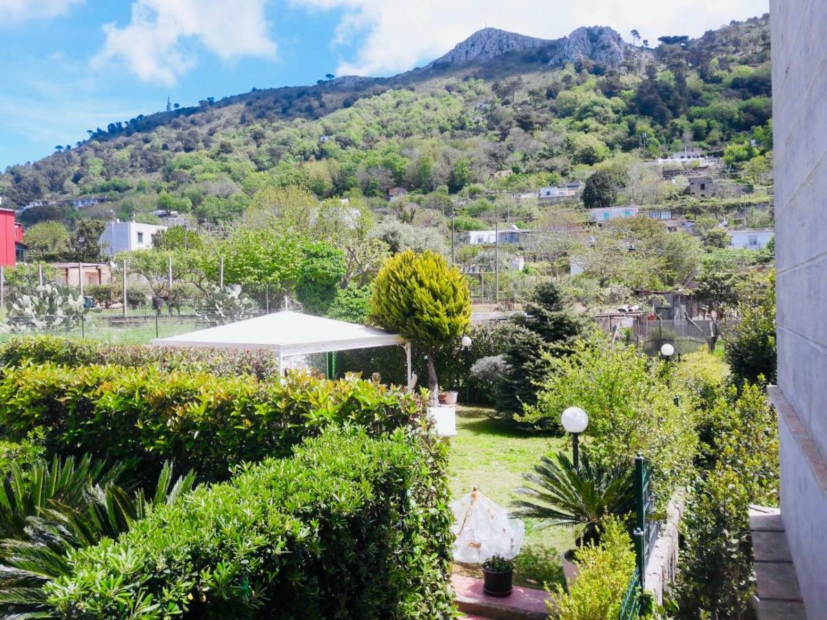 Villa Alessandro - Anacapri Ngoại thất bức ảnh